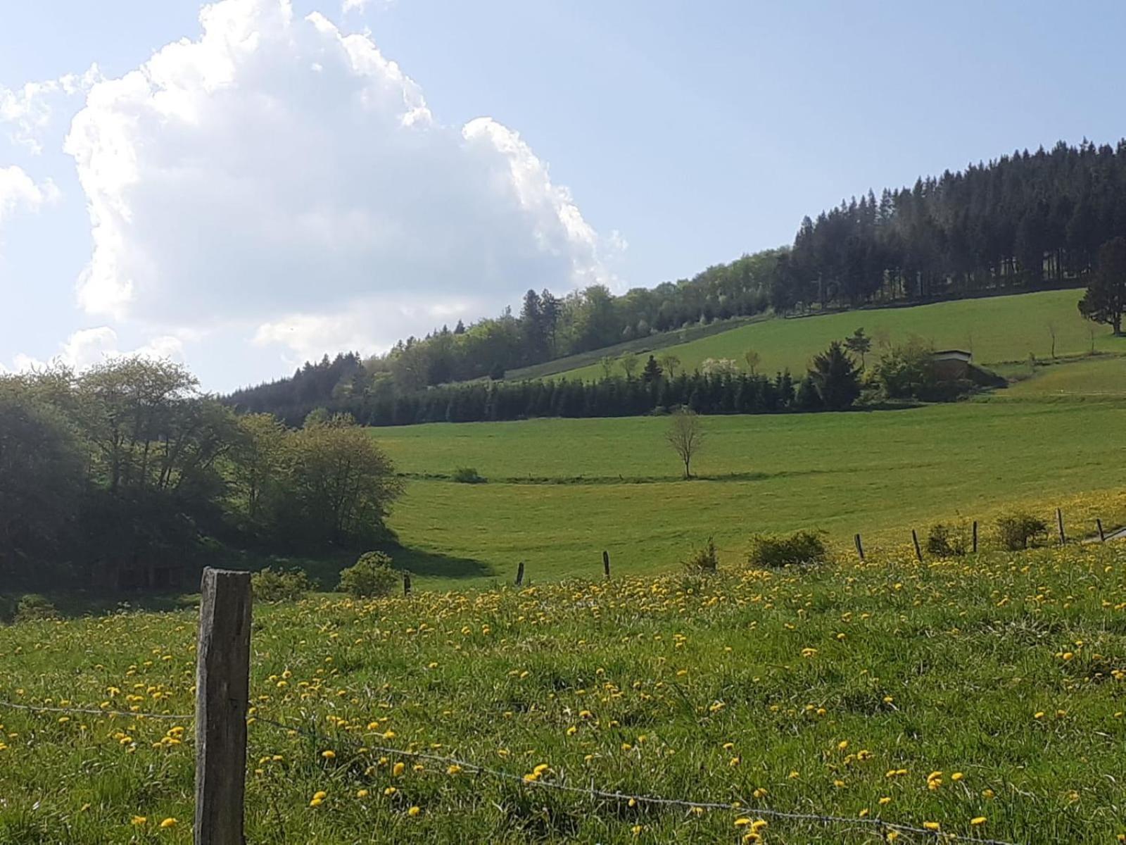 Ferienwohnungen Sternenhimmel Whg 1 梅德巴赫 外观 照片