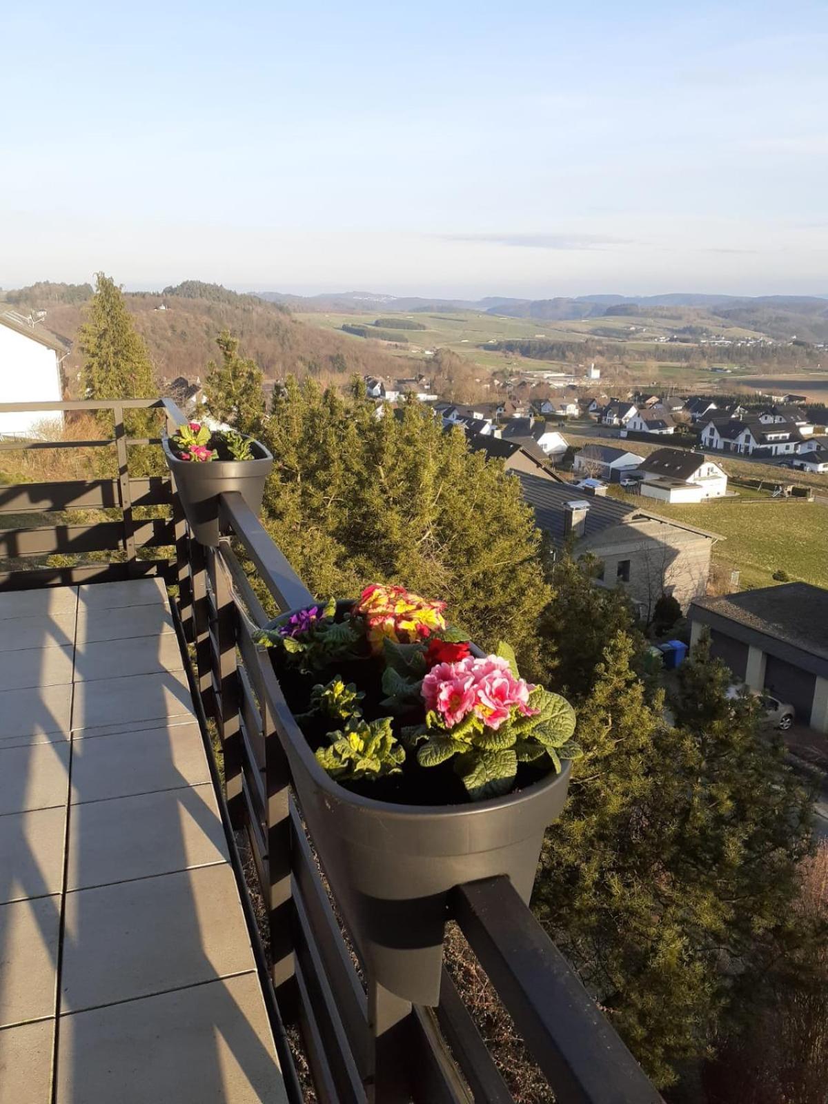Ferienwohnungen Sternenhimmel Whg 1 梅德巴赫 外观 照片