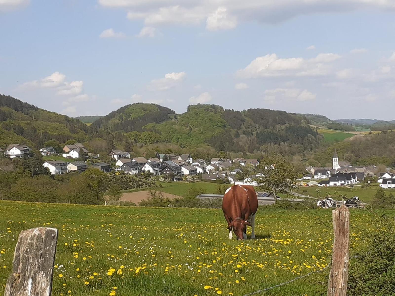 Ferienwohnungen Sternenhimmel Whg 1 梅德巴赫 外观 照片